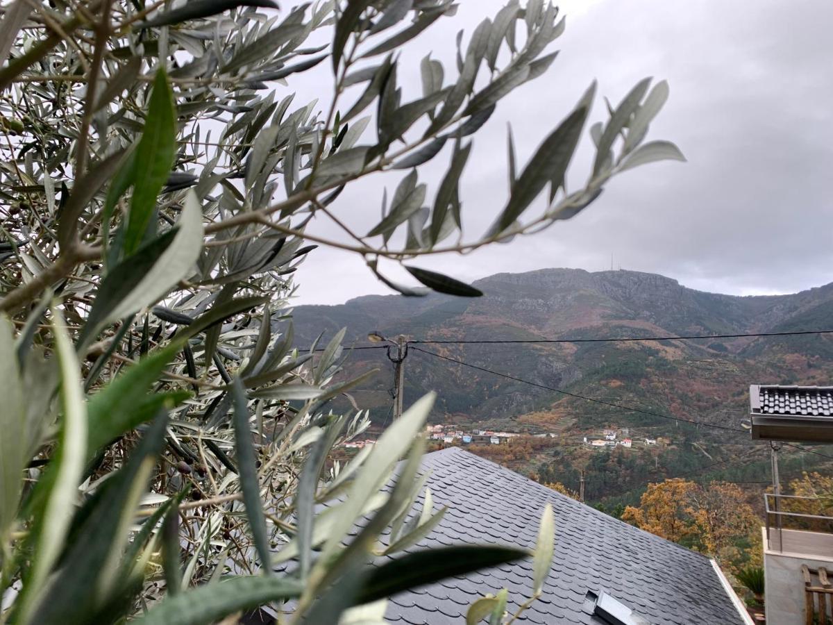 Casa Do Julien Mountain Experience Villa Vila Real Exterior foto
